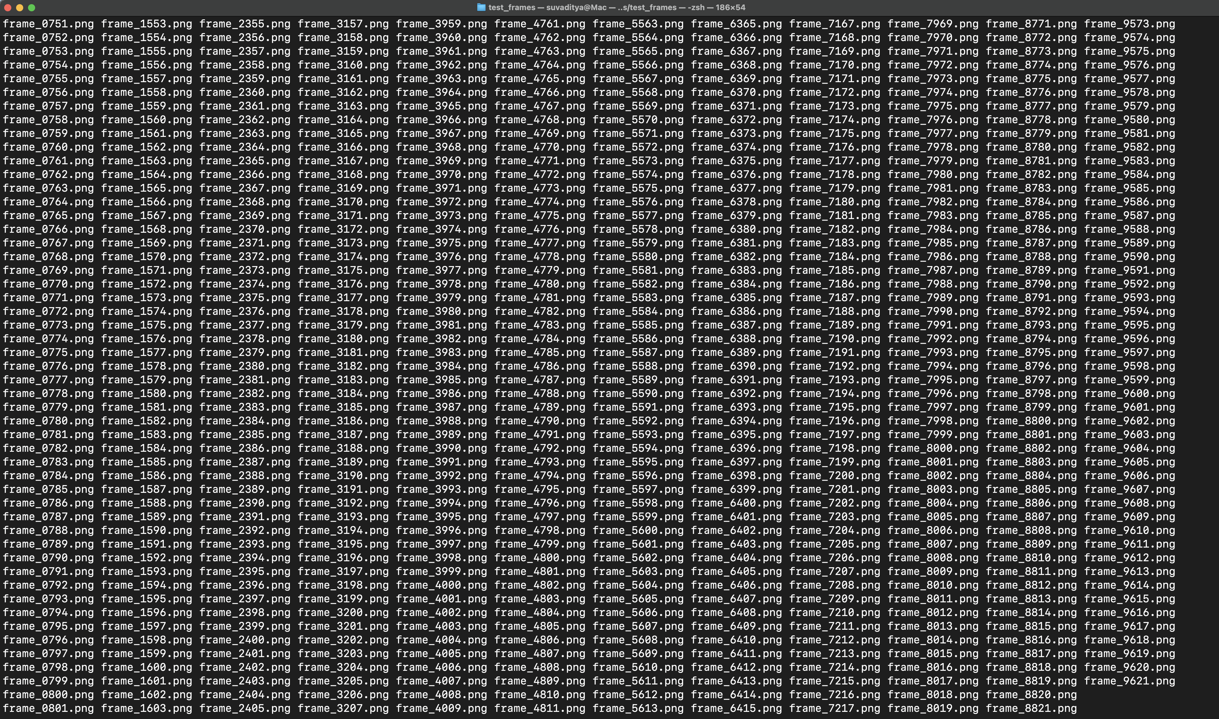 Screenshot showing all the generated frames in a folder